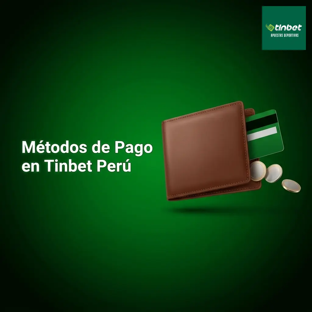 Métodos de pago en Tinbet Perú: Visa, Mastercard, PayPal, criptomonedas y más, con cifrado SSL 128 bits.